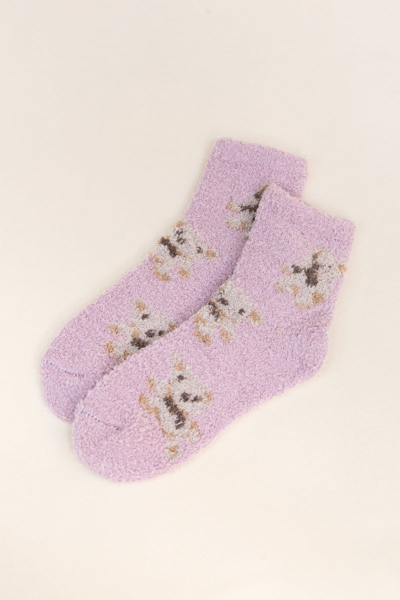 Teddy Fuzzy Socks - Pink - Sample